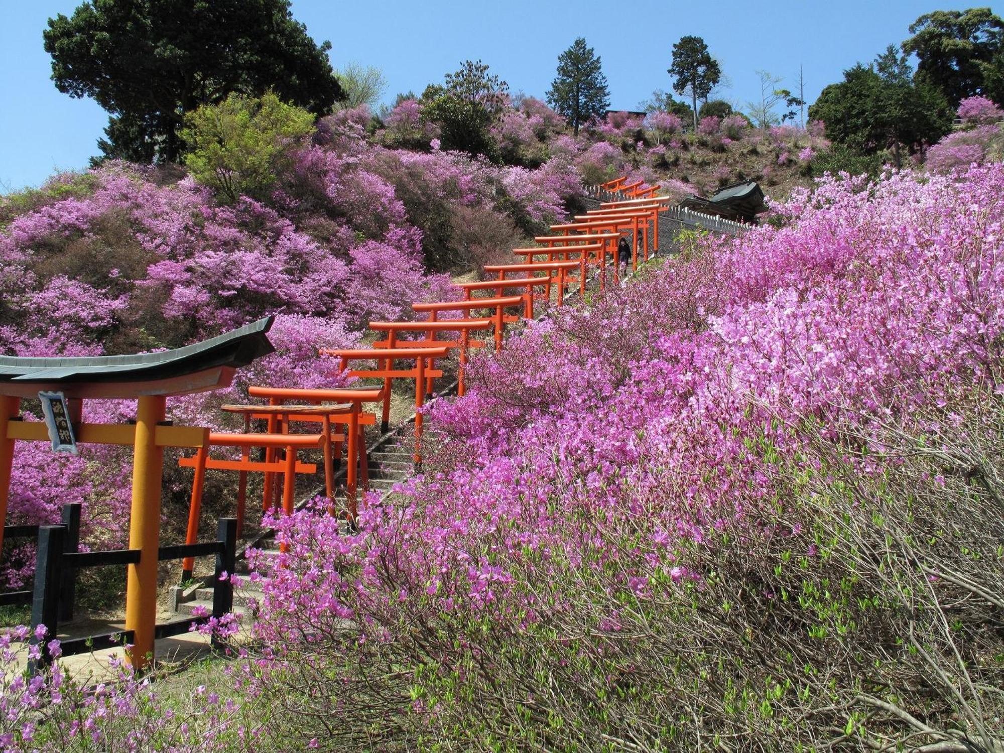 Mercure Kyoto Miyazu Resort & Spa Luaran gambar